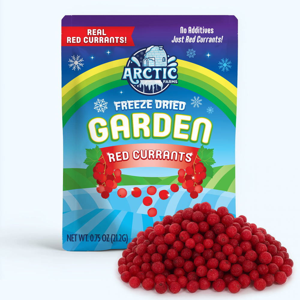 Freeze Dried Red Currant