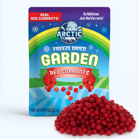 Freeze Dried Red Currant