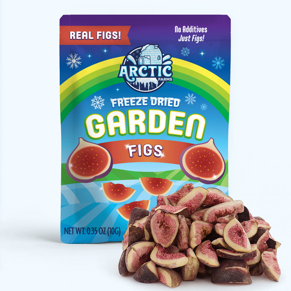Freeze Dried Figs
