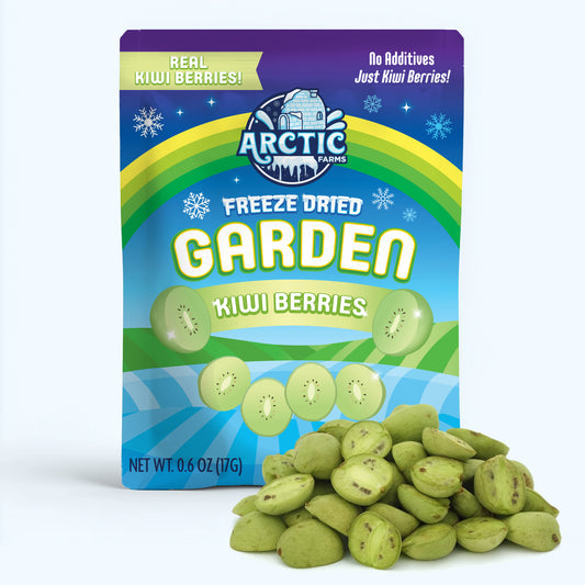 Freeze Dried Kiwi Berry (Baby Kiwi)