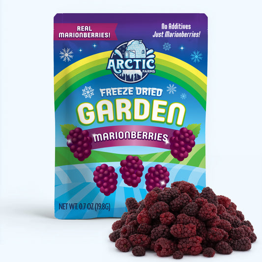 Freeze Dried Marionberries