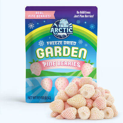 Arctic Farms freeze-dried garden pine berries packaging with berries in front