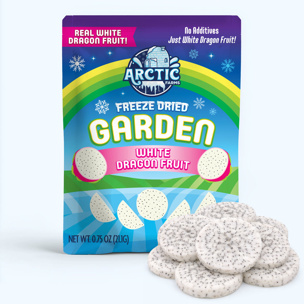 Freeze Dried White  Dragon Fruit Slices