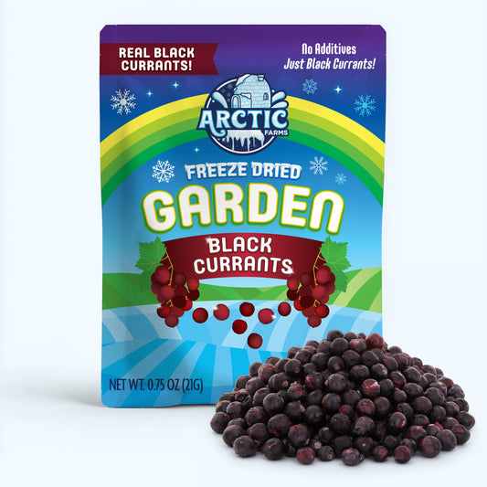 Freeze Dried Organic Black Currant