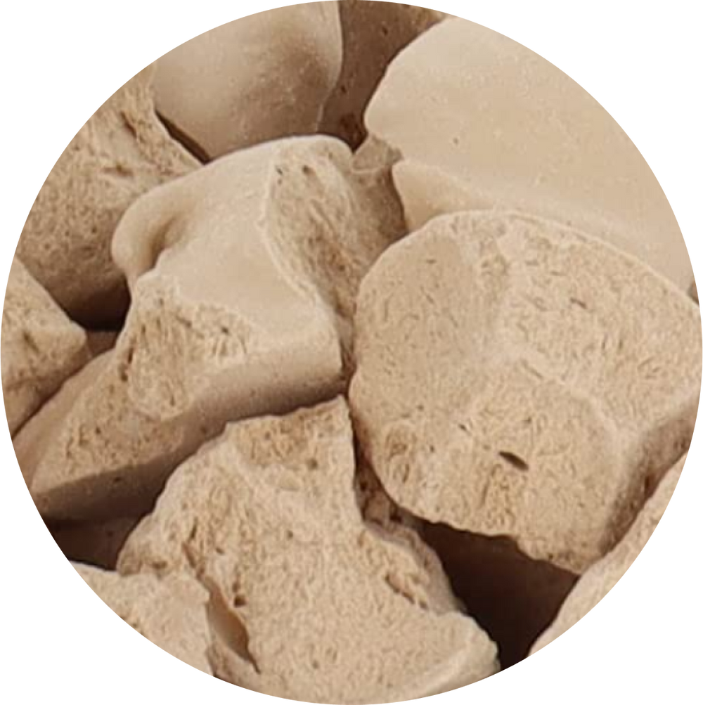 Freeze Dried Caramel Ice Cream
