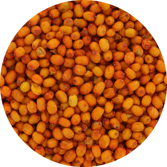 Freeze Dried Wild Sea Buckthorn