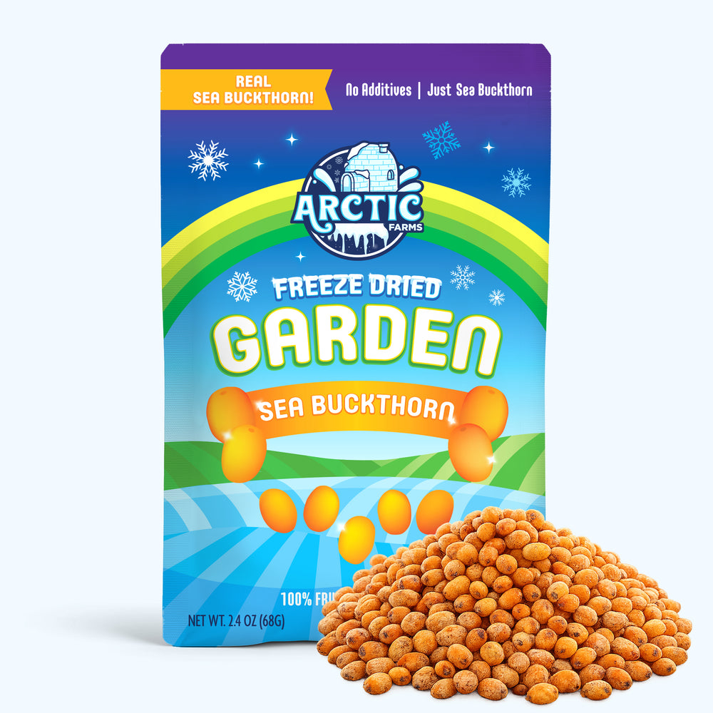 Freeze Dried Wild Sea Buckthorn — image 3 of 10