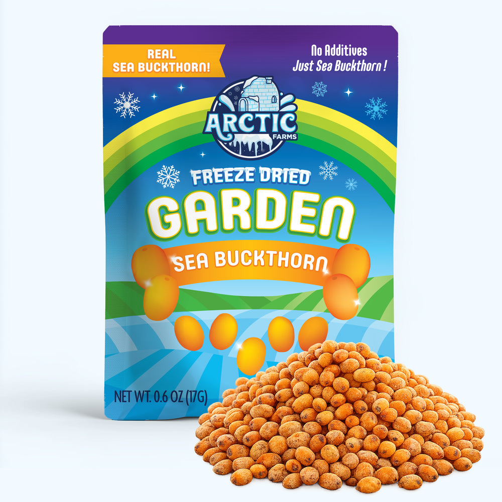 Freeze Dried Wild Sea Buckthorn — image 1 of 10