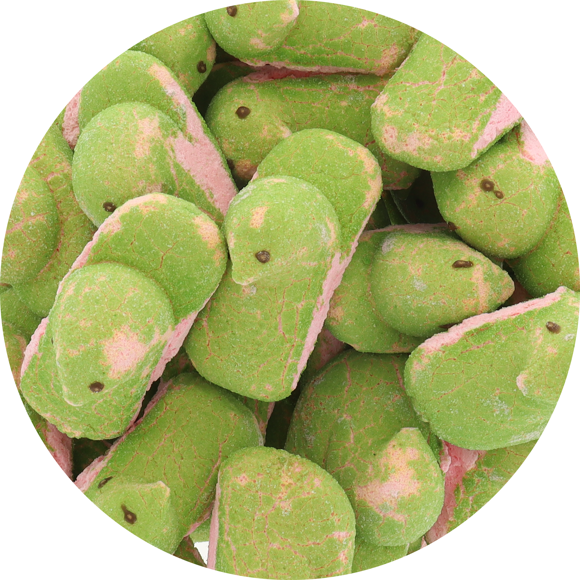 Freeze Dried Marshmallow Chicks