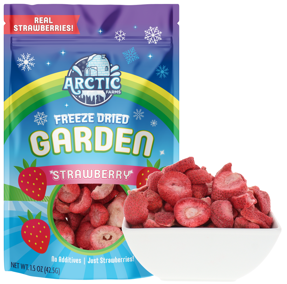 Freeze Dried Organic Strawberry Slices Bag and Bowl