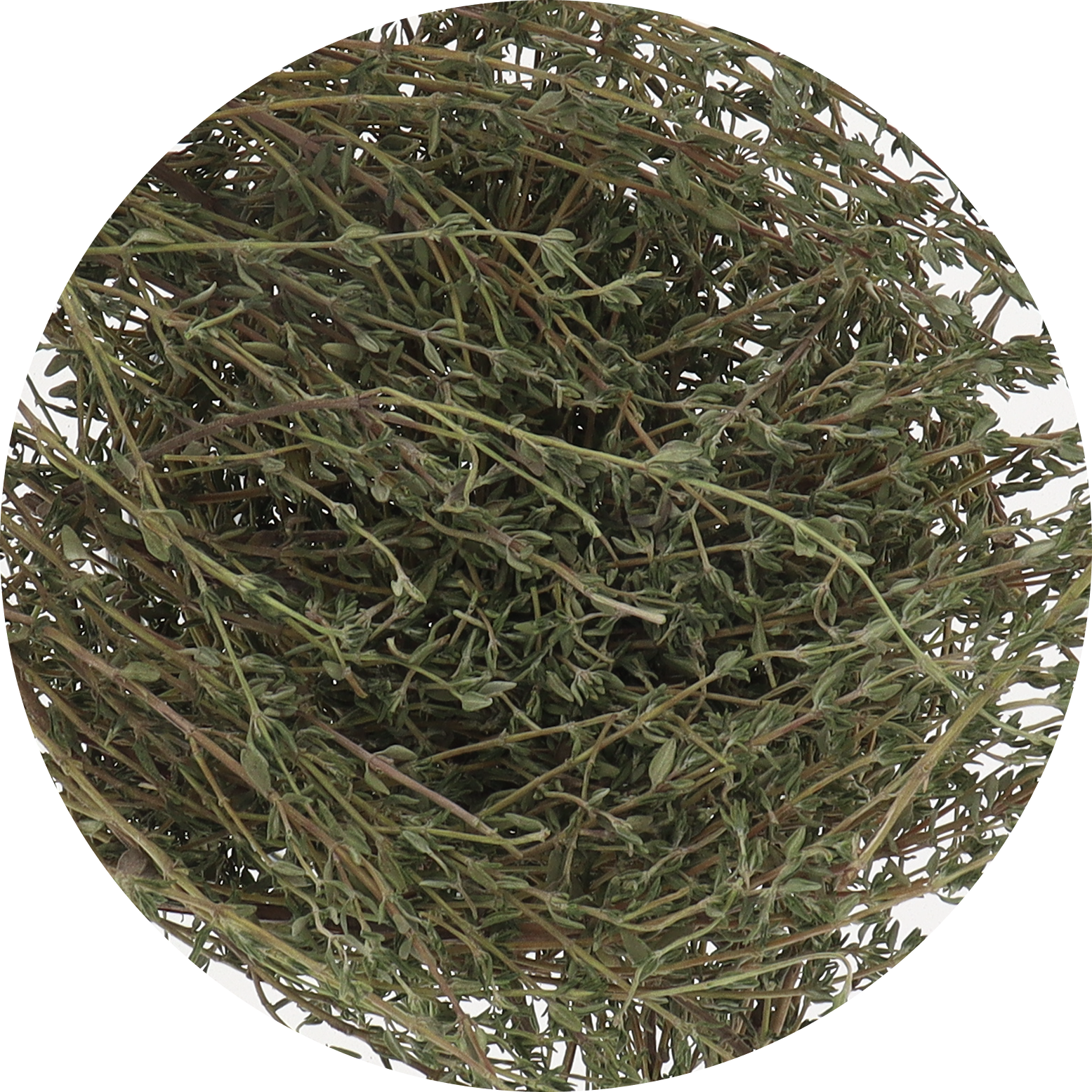 Freeze Dried Thyme