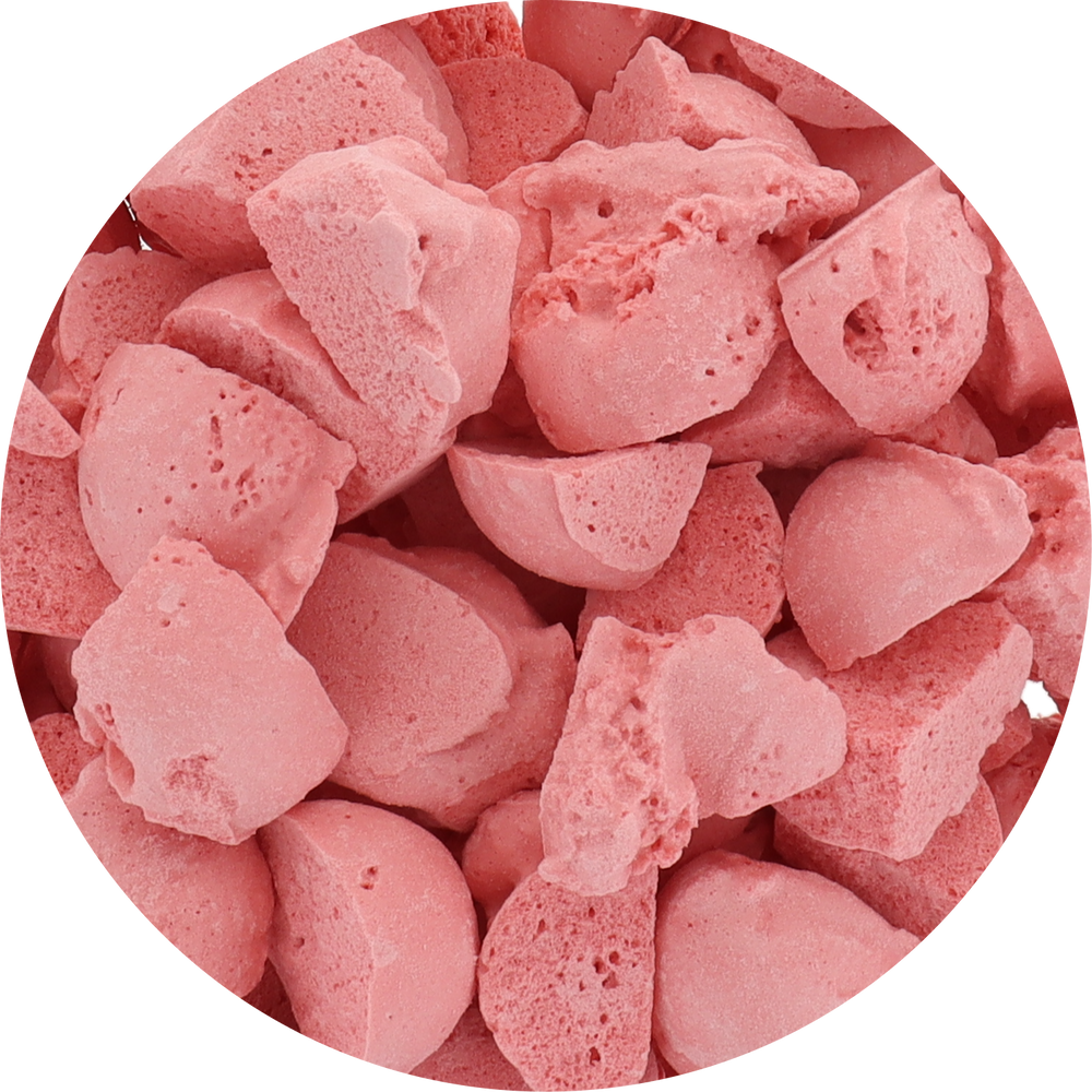Freeze Dried Watermelon Ice Cream