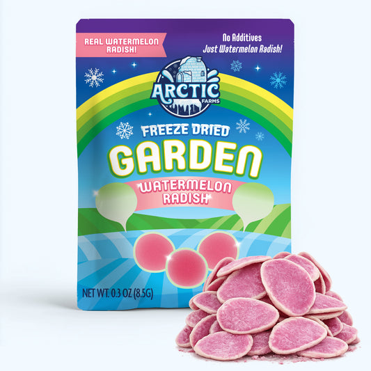Freeze Dried Watermelon Radish Chips — image 1 of 10