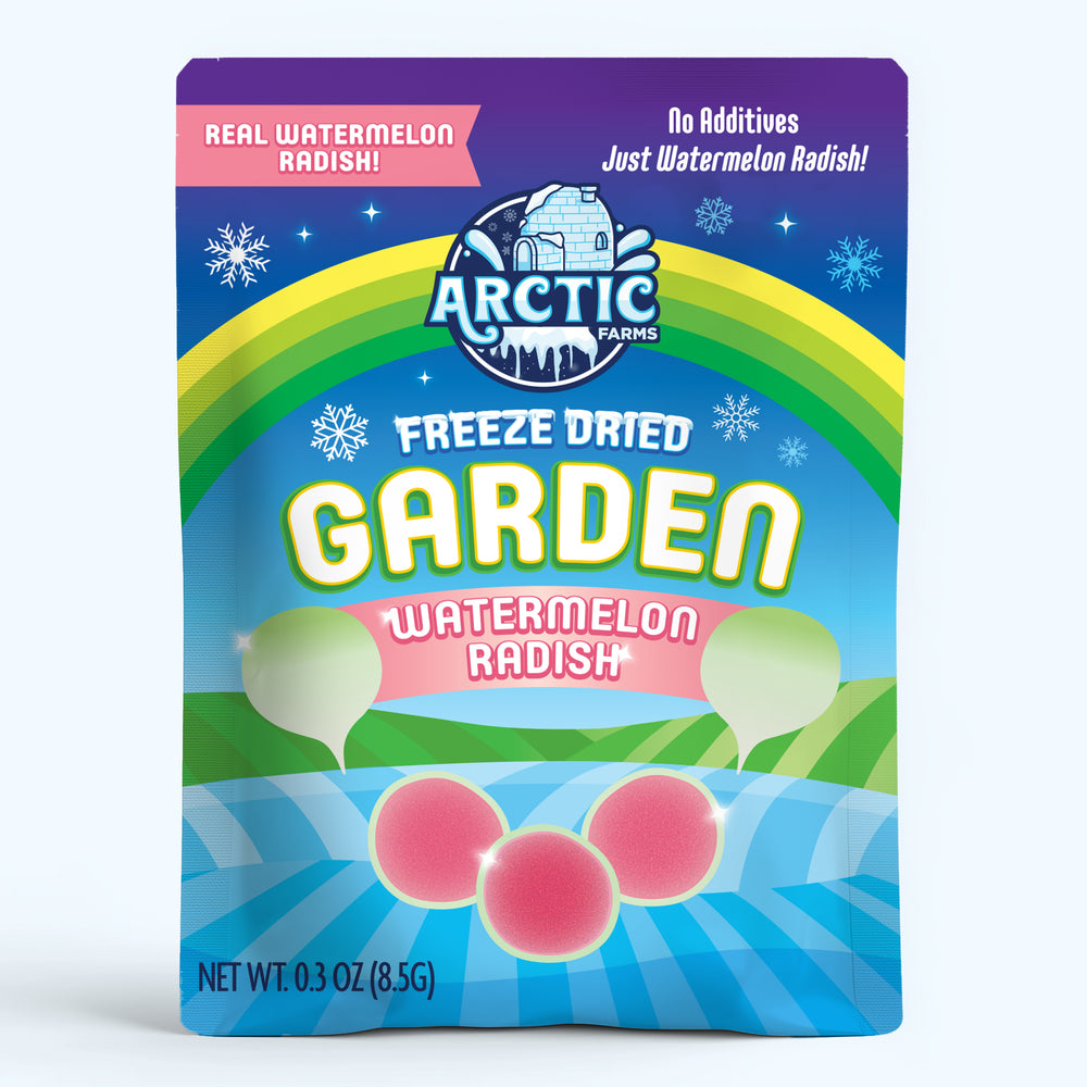 Freeze Dried Watermelon Radish Chips — image 2 of 10