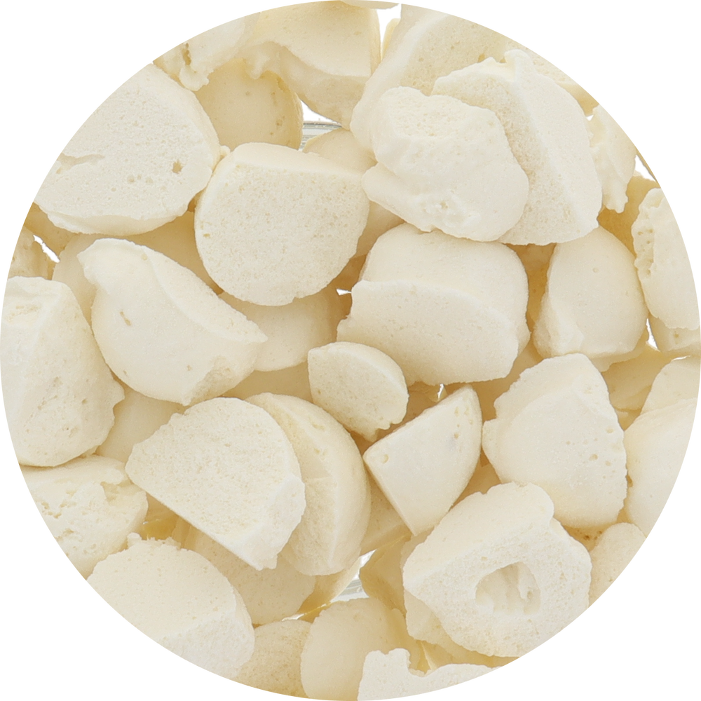 Freeze Dried White Chocolate Macadamia Ice Cream