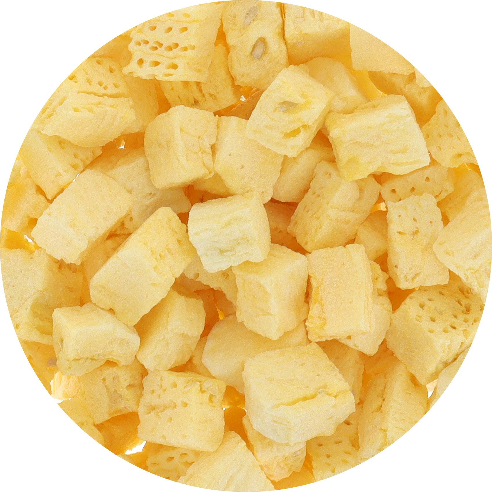 Freeze Dried Yellow Watermelon
