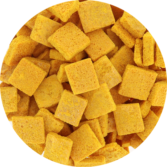 Freeze dried yellow cactus fruit (prickly pear) pieces, top view