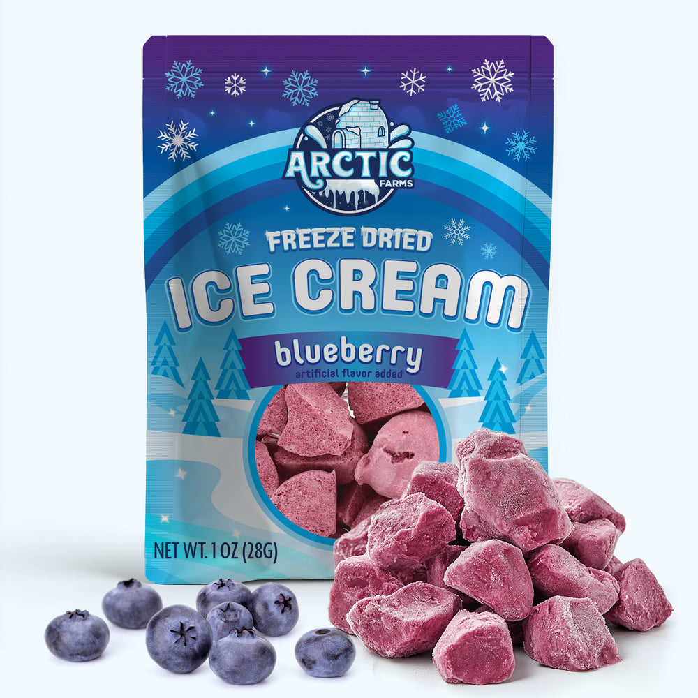 Freeze Dried Ice Cream That Does Not Melt (Bits) Blueberry