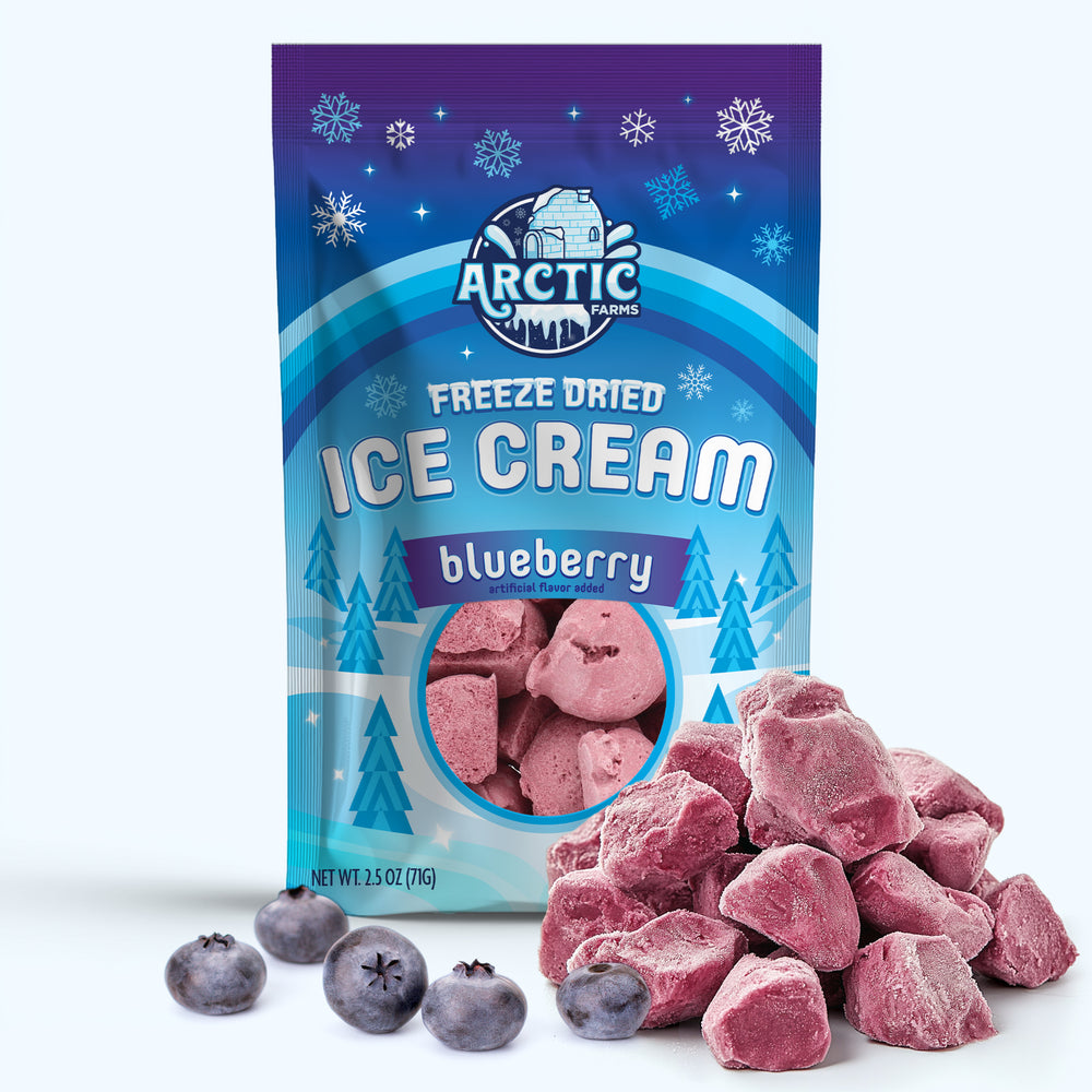 Freeze Dried Ice Cream That Does Not Melt (Bits) Blueberry