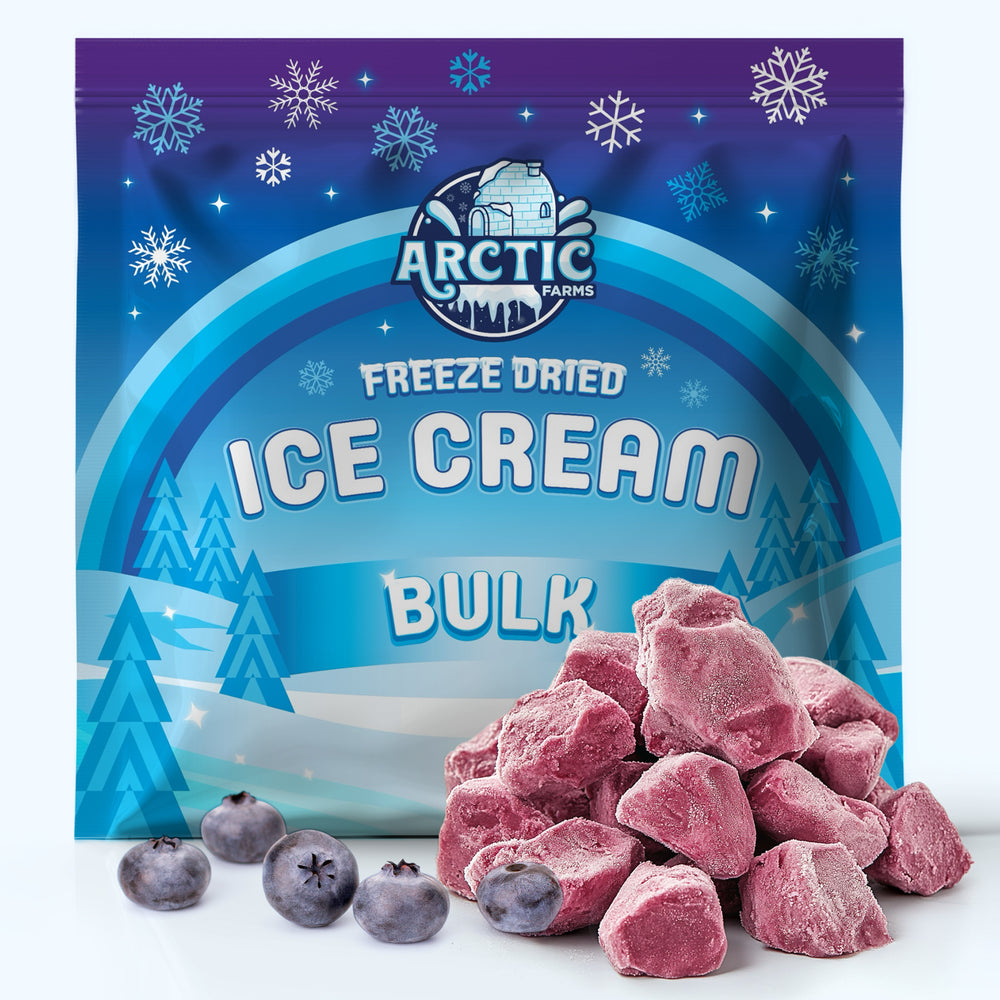 Freeze Dried Ice Cream That Does Not Melt (Bits) Blueberry