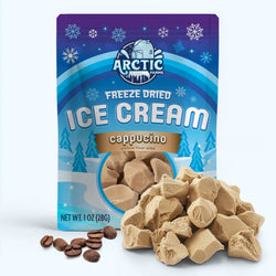 Freeze Dried Ice Cream That Does Not Melt (Bits) Cappuccino