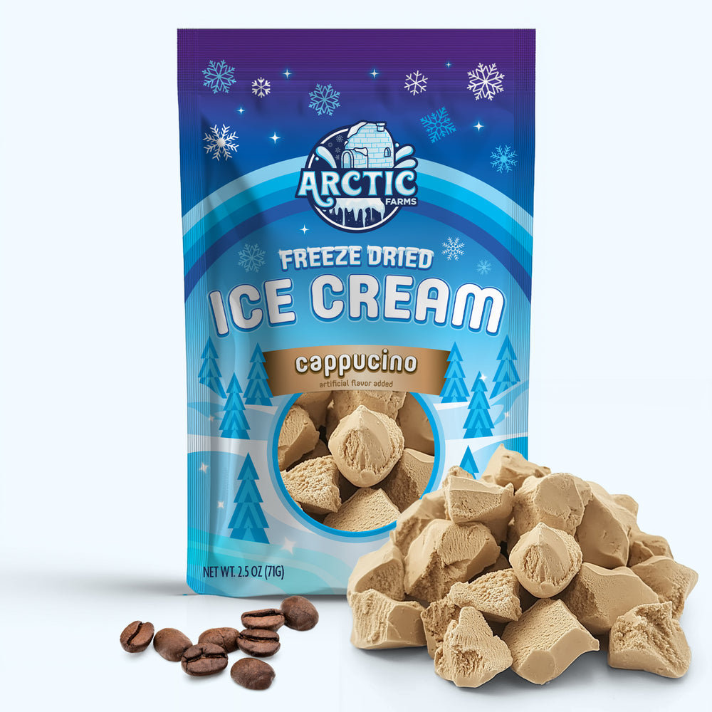 Freeze Dried Ice Cream That Does Not Melt (Bits) Cappuccino