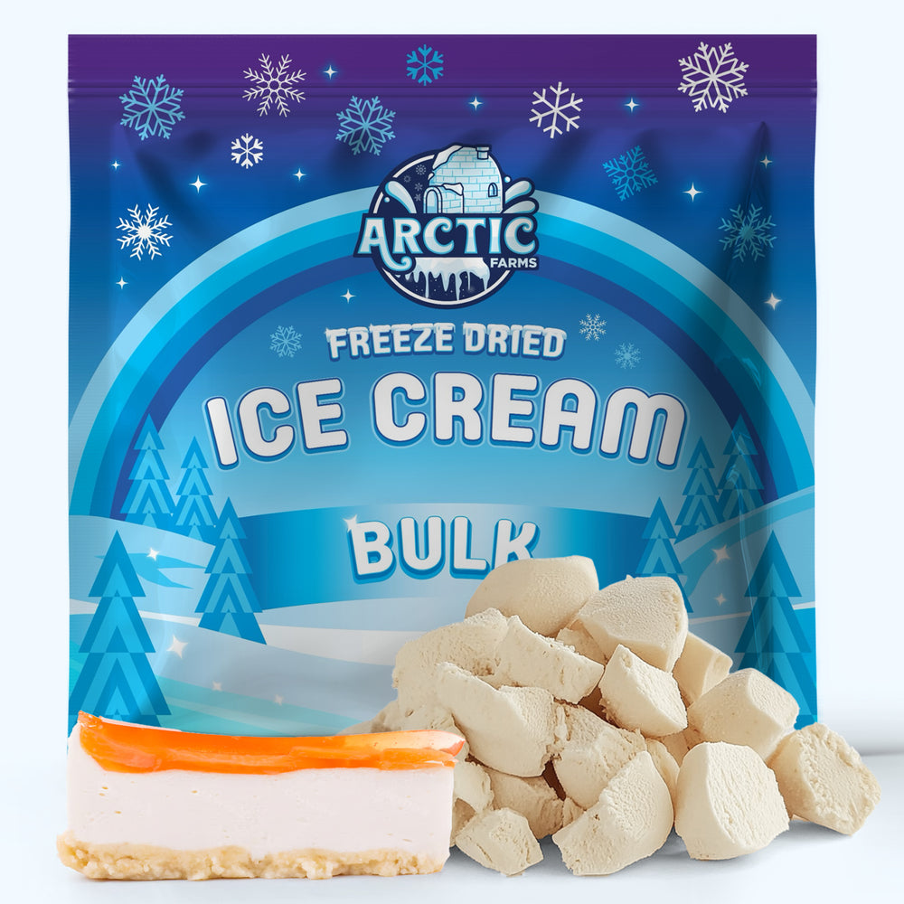 Freeze Dried Ice Cream That Does Not Melt (Bits) Cheesecake