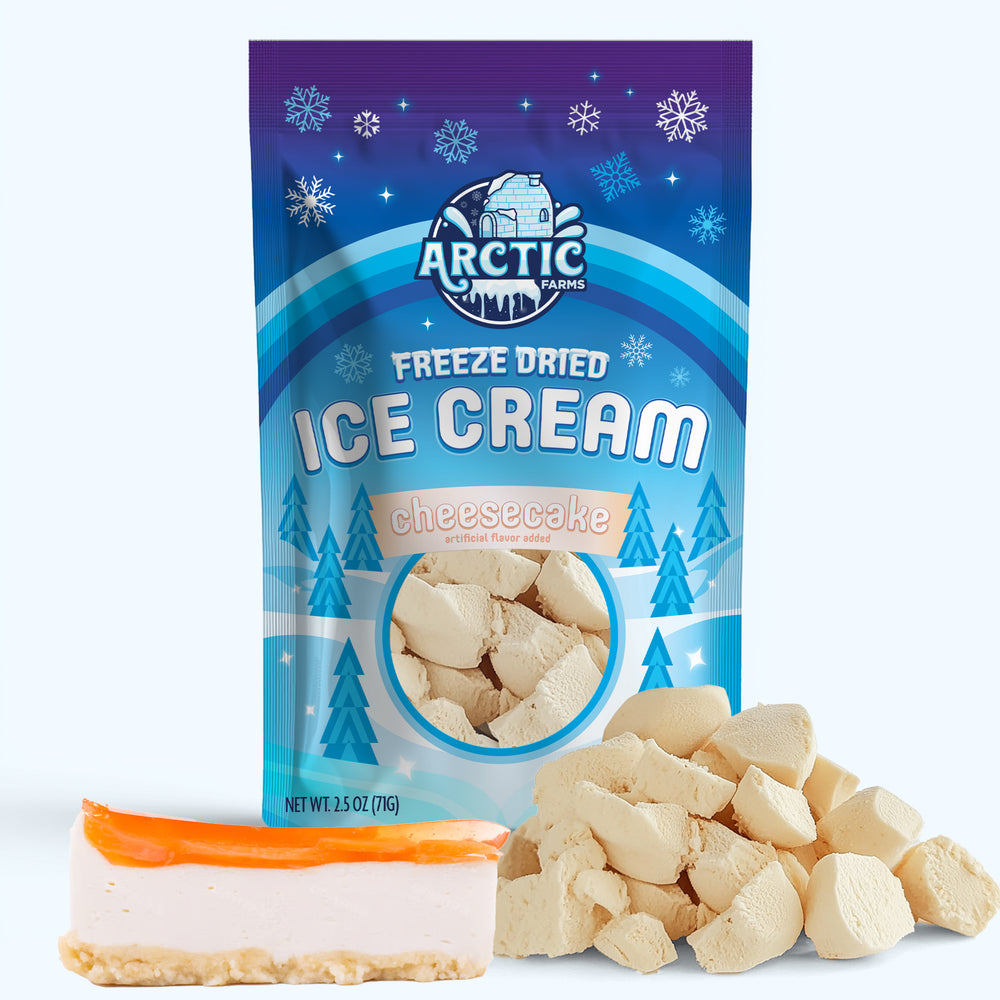 Freeze Dried Ice Cream That Does Not Melt (Bits) Cheesecake