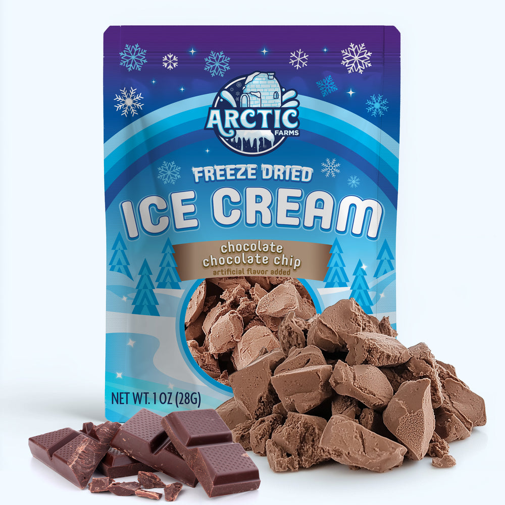 Freeze Dried Ice Cream That Does Not Melt (Bits) Chocolate Chocolate Chip