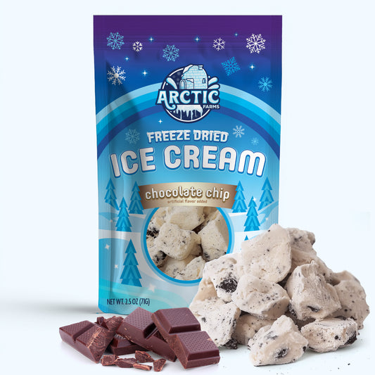 Freeze Dried Ice Cream Chocolate Chip Large