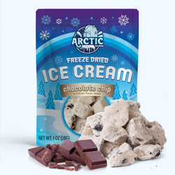 Freeze Dried Ice Cream That Does Not Melt (Bits) Chocolate Chip