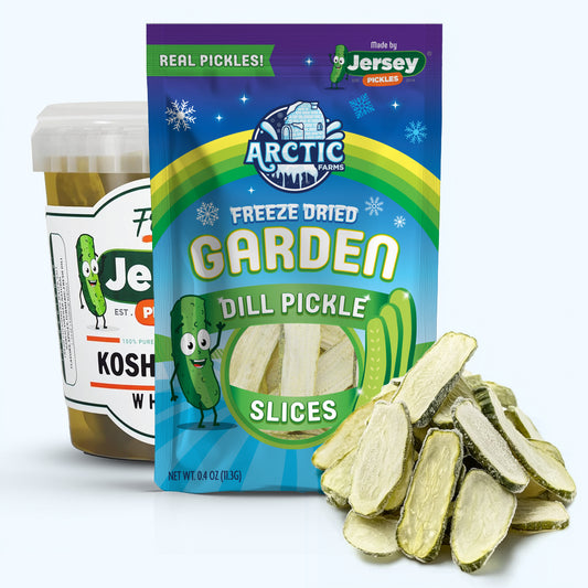 Freeze Dried Dill Pickle Slices Large Bag