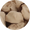 ice_cream_bits_Coffee_1oz