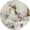 ice_cream_bits_Cookies & Cream_1oz