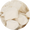 ice_cream_bits_Butter Pecan_2.5oz
