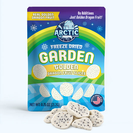 Freeze Dried Golden Dragon Fruit Slices — Small — product image