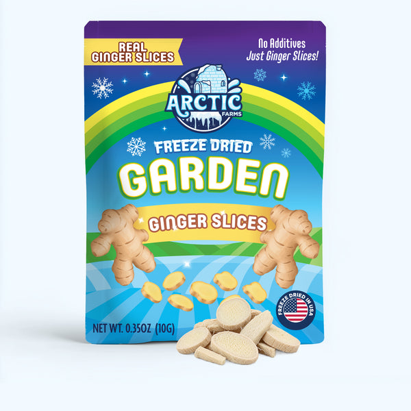 Freeze Dried Ginger Slices | Arctic Farms
