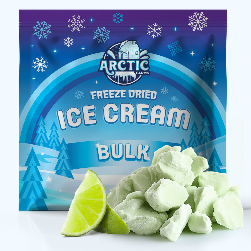 Freeze Dried Ice Cream That Does Not Melt (Bits) Key Lime