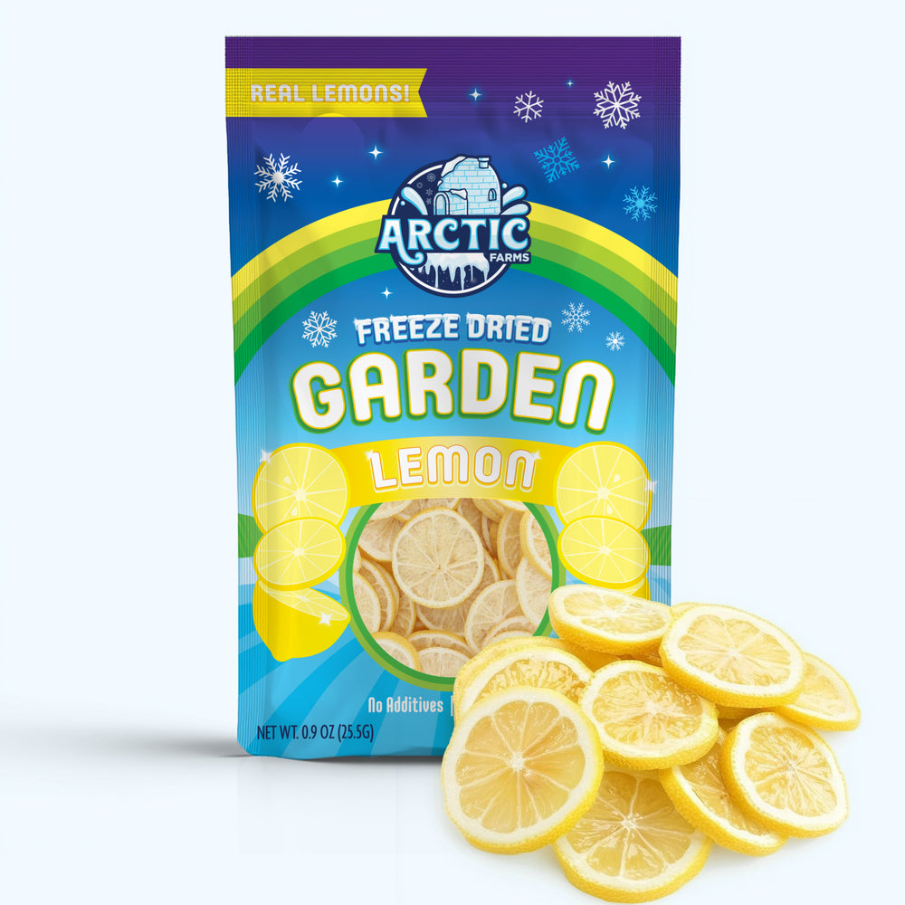 Freeze Dried Lemon Slices