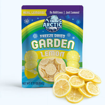 Freeze Dried Lemon Slices — image 1 of 11