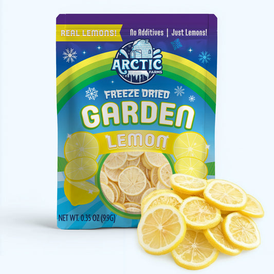 Freeze Dried Lemon Slices