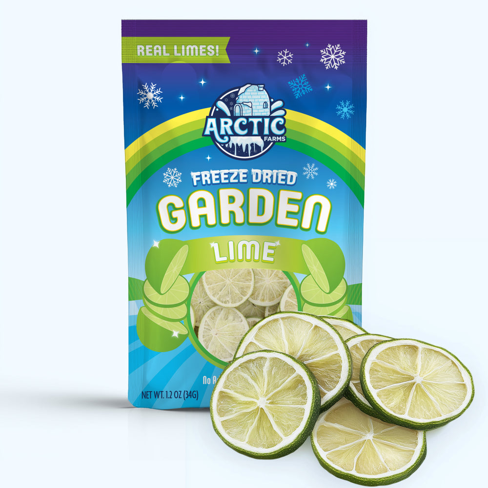 Freeze Dried Lime Slices