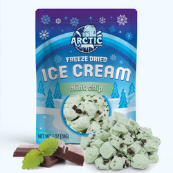 Freeze Dried Ice Cream That Does Not Melt (Bits) Mint Chip