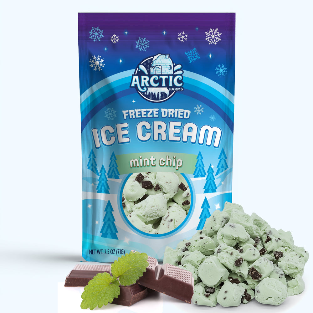 Freeze Dried Ice Cream That Does Not Melt (Bits) Mint Chip