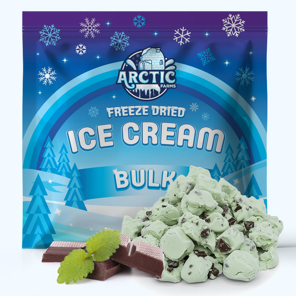 Freeze Dried Ice Cream That Does Not Melt (Bits) Mint Chip