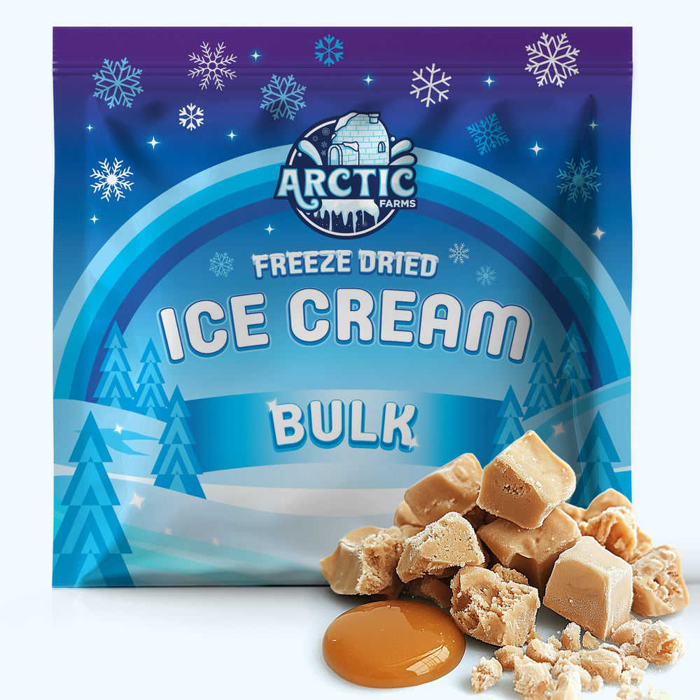 Freeze Dried Ice Cream That Does Not Melt (Bits) Salted Caramel