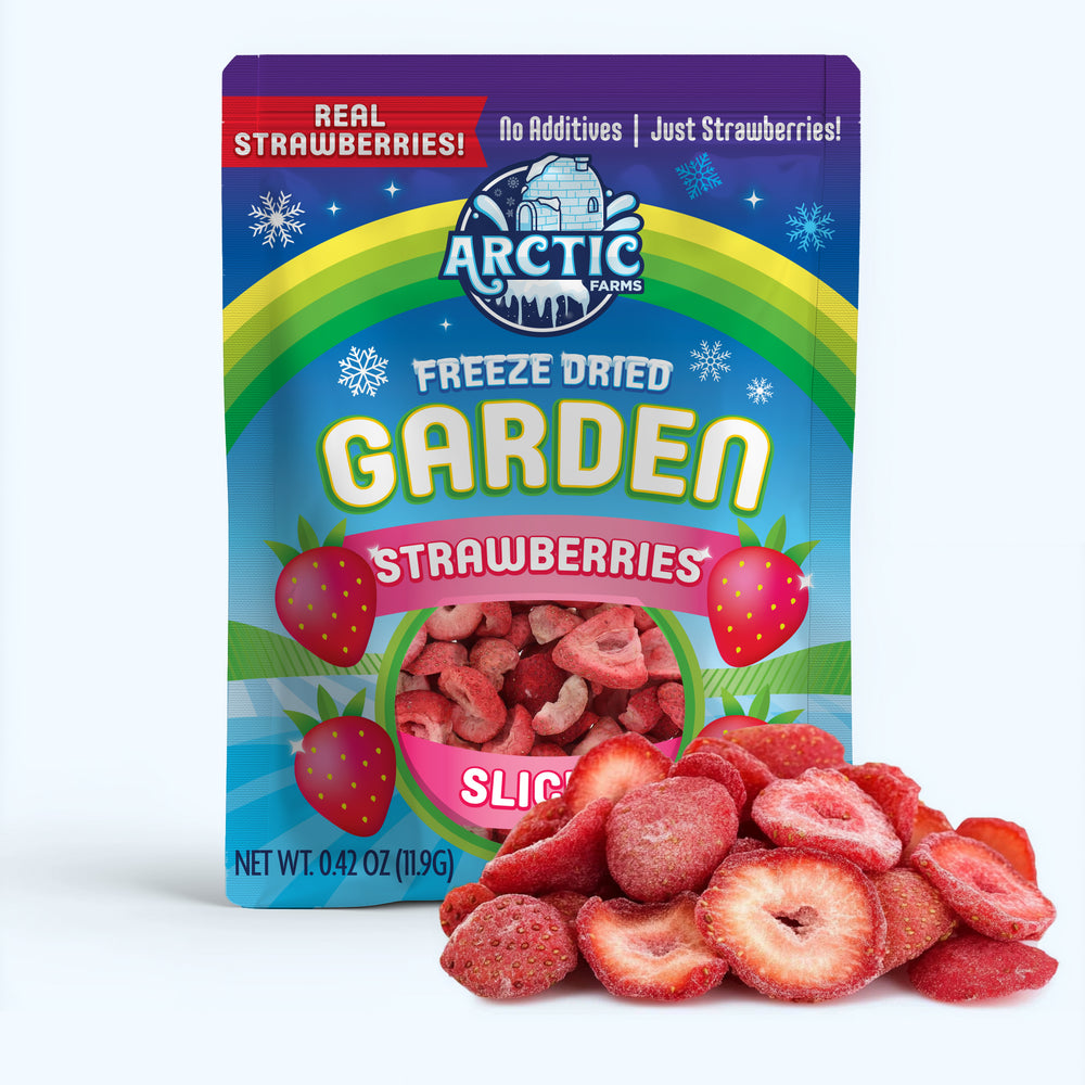 Freeze Dried Organic Strawberry Slices